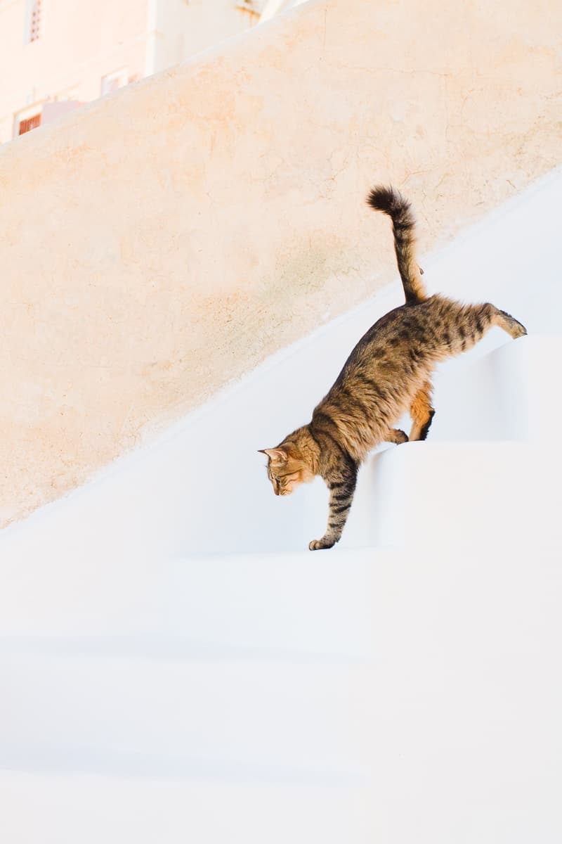 Santorini Oia Travel Guide Reccomendations Honeymoon Colourful Place Greece_-17