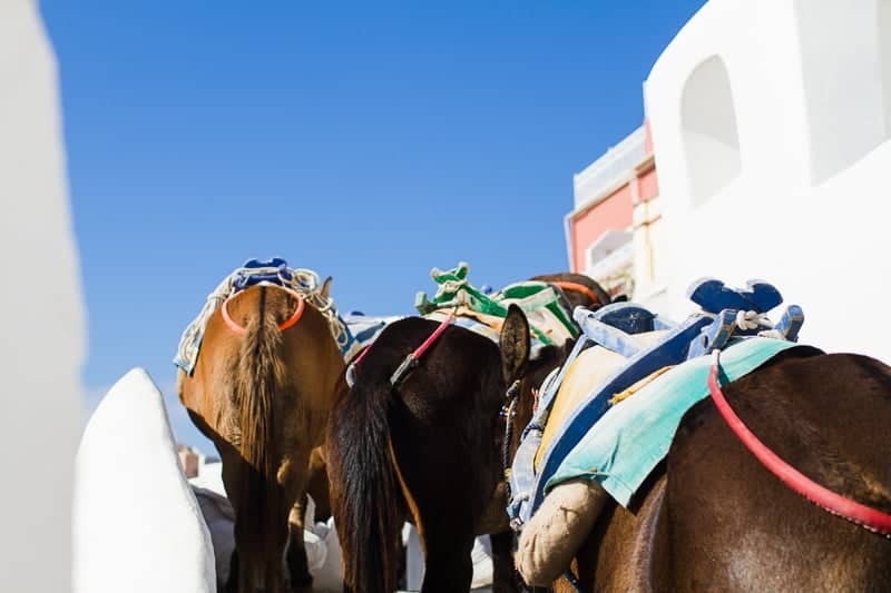 Santorini Oia Travel Guide Reccomendations Honeymoon Colourful Place Greece_-38