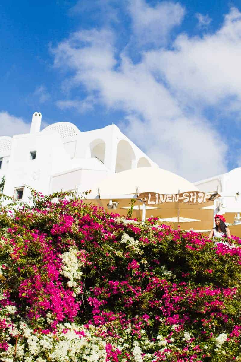 Santorini Oia Travel Guide Reccomendations Honeymoon Colourful Place Greece_-65