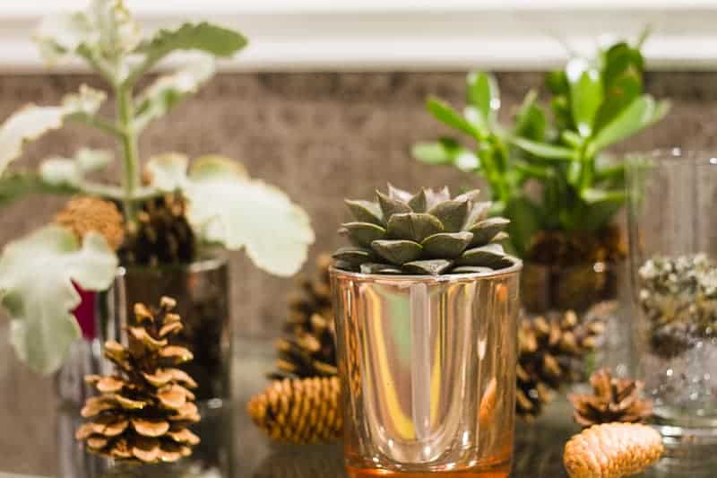 Copenhagen travel guide Nyphaven where to go tivoli honeymoon ideas europe-2