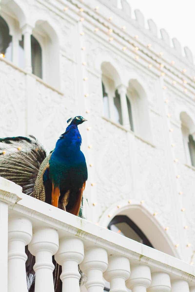 Copenhagen travel guide Nyphaven where to go tivoli honeymoon ideas europe-28