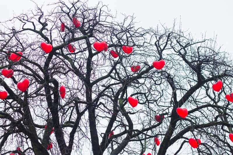 Copenhagen travel guide Nyphaven where to go tivoli honeymoon ideas europe-34