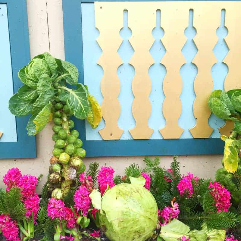 Copenhagen travel guide Nyphaven where to go tivoli honeymoon ideas europe-46