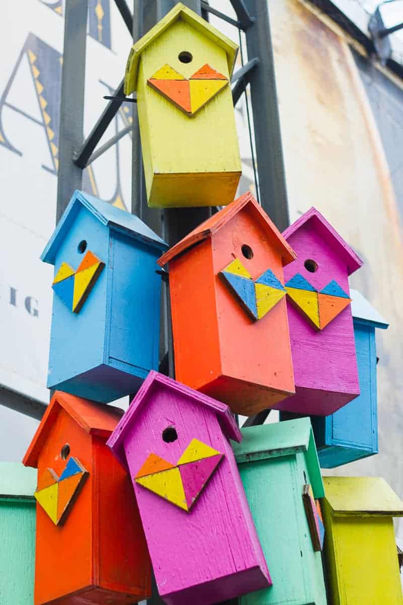 Copenhagen travel guide Nyphaven where to go tivoli honeymoon ideas europe-62