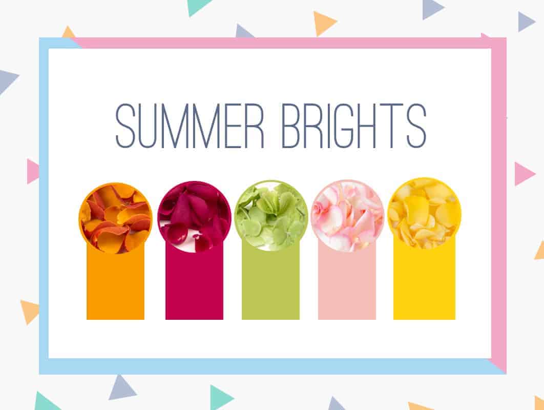 Summer Brights