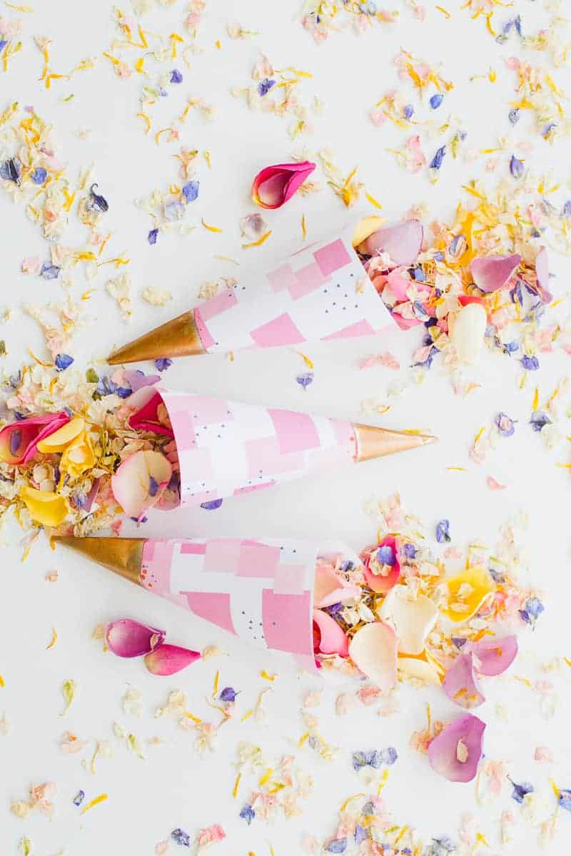 FREE PRINTABLE ABSTRACT CONFETTI CONES WITH SHROPSHIRE PETALS PINK AND