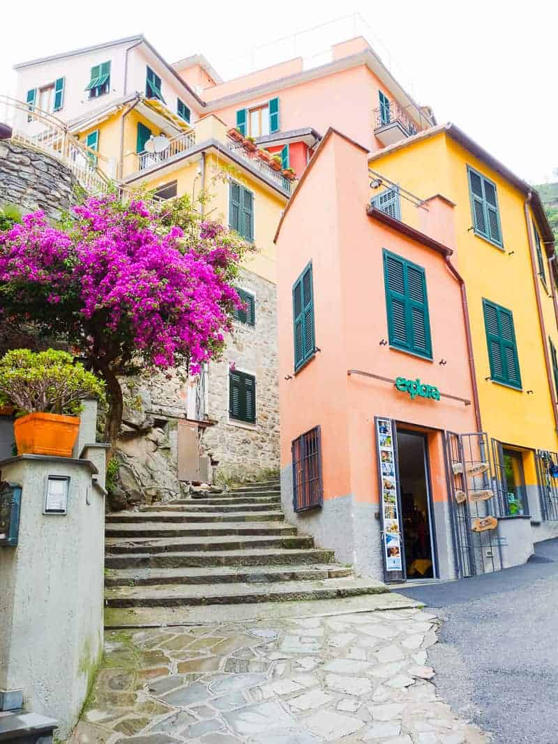 Cinque Terre Travel Guide Train Hiking Italy Information Advice Reccomendation Colourful_-65
