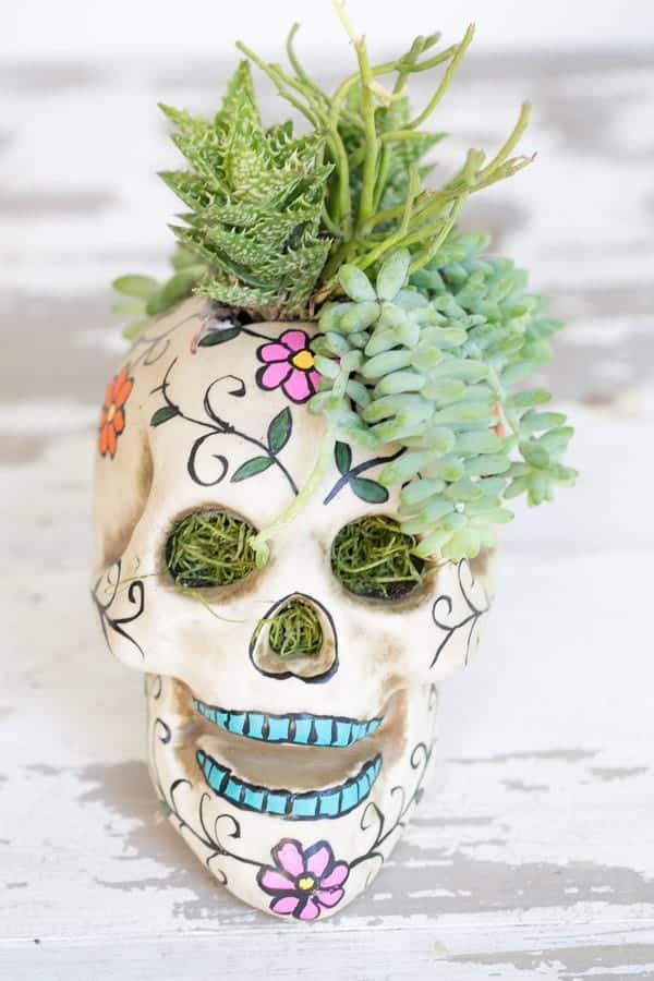 10 COLOURFUL HALLOWEEN DIYS YOU NEED TO MAKE! - Halloweenskullplanter
