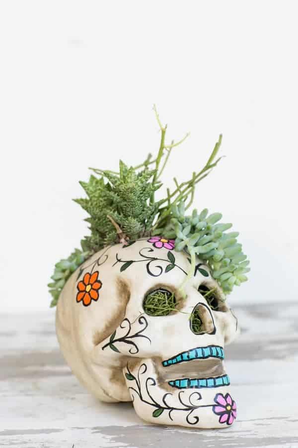 10 COLOURFUL HALLOWEEN DIYS YOU NEED TO MAKE! - Halloweenskullplanter