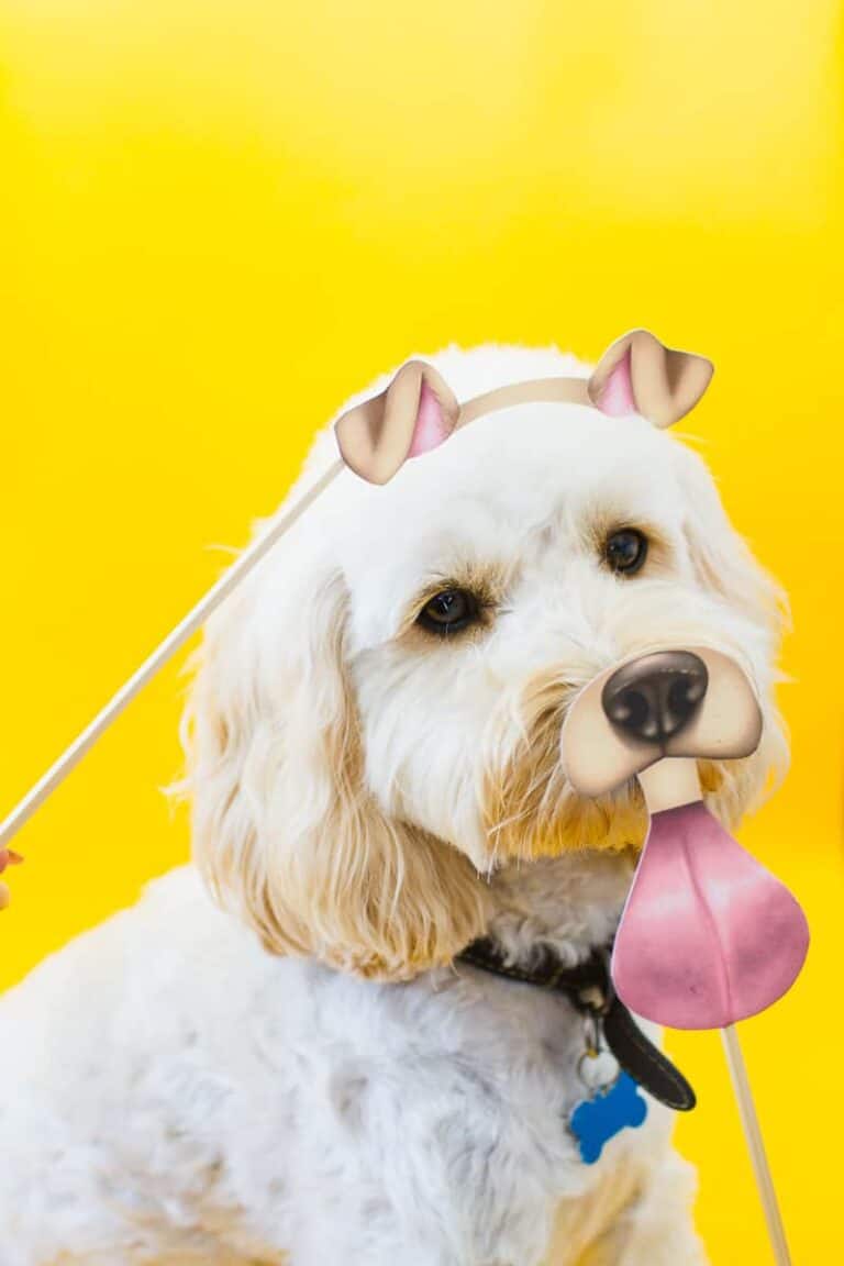 FREE PRINTABLE PHOTOBOOTH SNAPCHAT PROPS FOR YOUR WEDDING! | Bespoke ...