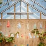 16 IMAGES TO INSPIRE YOUR GREENHOUSE WEDDING - Whimsical Diy Wedding Stara Oranzeria Poland Whitesmoke Studio