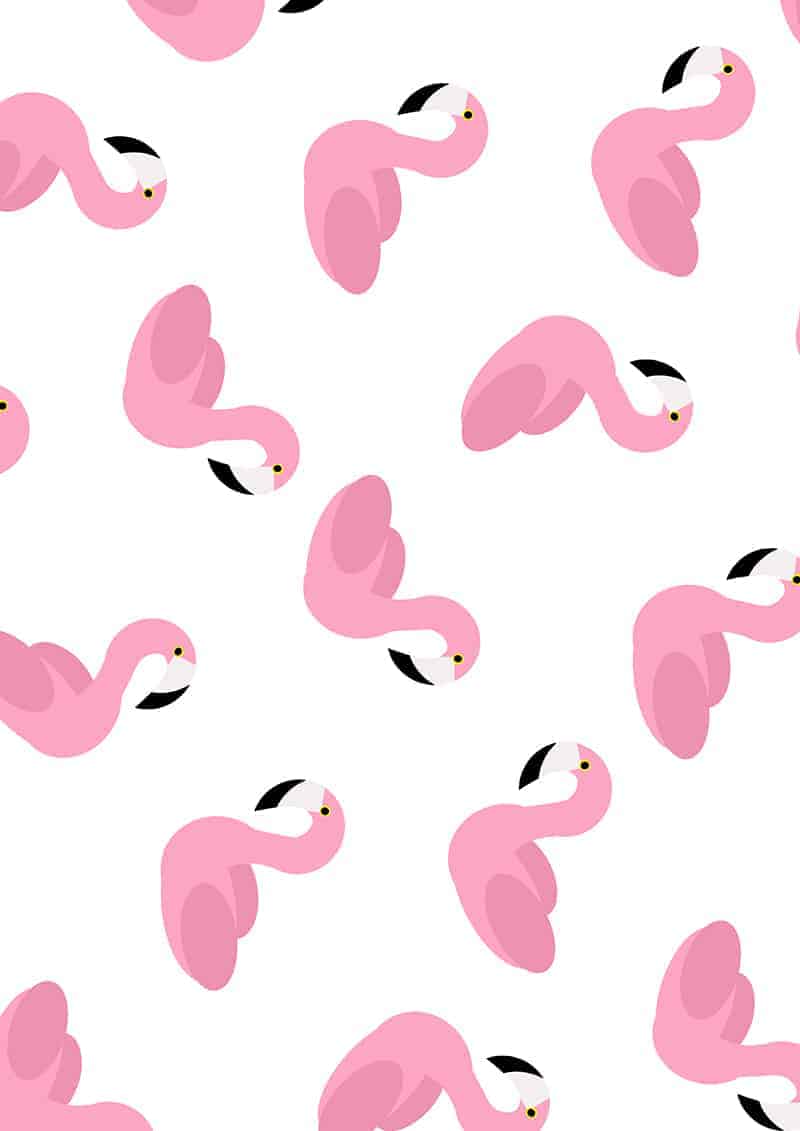 flamingo-pool-float-wrapping-paper-christmas-gift-wrap