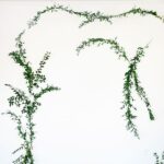 45 CREATIVE DIY BACKDROP IDEAS FOR YOUR WEDDING OR PARTY - Creative Diy Wedding Party Backdrops Vine Wall Backdrop