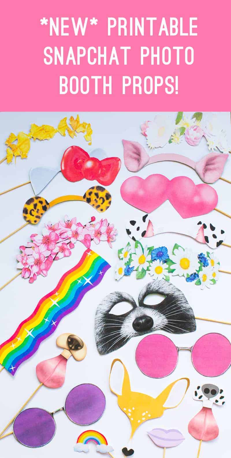 New Snapchat Filter Photo booth props Bunny Leopard ears hello kitty raccoon heart eyes flower crown glasses printable download- Main