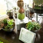 Wedding at Chatfield Botanic Gardens: THIS COUPLE INVITED THEIR PET PIG TO BE THEIR RING BEARER!! - Funky Colorado Themed Wedding With A Pet Pig