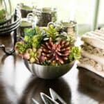 Wedding at Chatfield Botanic Gardens: THIS COUPLE INVITED THEIR PET PIG TO BE THEIR RING BEARER!! - Funky Colorado Themed Wedding With A Pet Pig