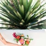 HOW TO CONFIDENTLY TALK ABOUT ELOPING WITHOUT OFFENDING ANYONE - Mexican Inspired Elopement How To Confidently Tell Family Friends Your Eloping