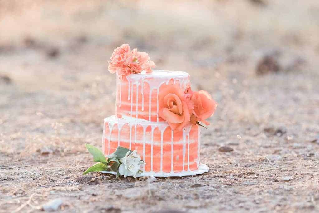 AN INTIMATE WEDDING CEREMONY IN THE ARIZONA DESSERT (PSST...THERE'S A HARLEY TOO!) - R A