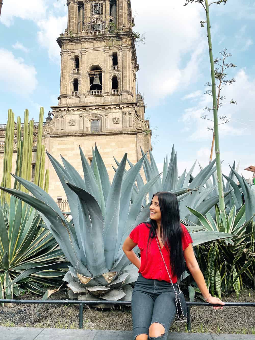 HOW TO CELEBRATE DAY OF THE DEAD IN MEXICO CITY - Day Of The Dead Mexico City Dia De Los Muertos Cdmx Reforma Zocala Chapultepec