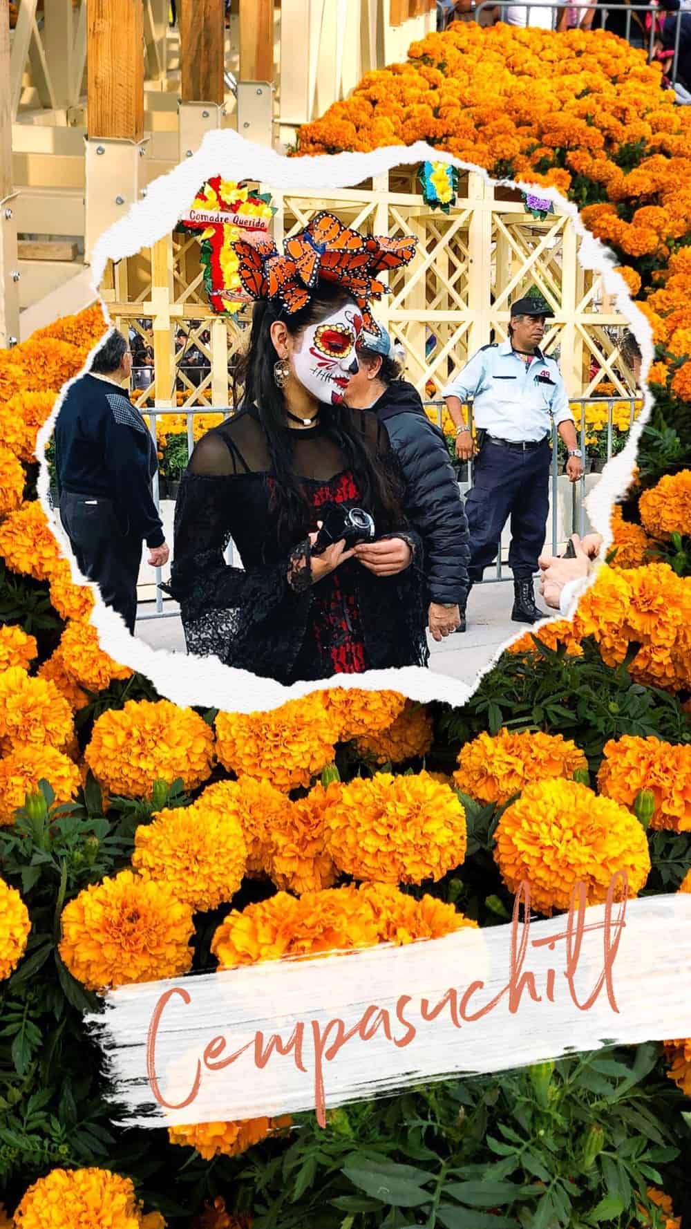 HOW TO CELEBRATE DAY OF THE DEAD IN MEXICO CITY - Day Of The Dead Mexico City Dia De Los Muertos Cdmx Reforma Zocala Chapultepec