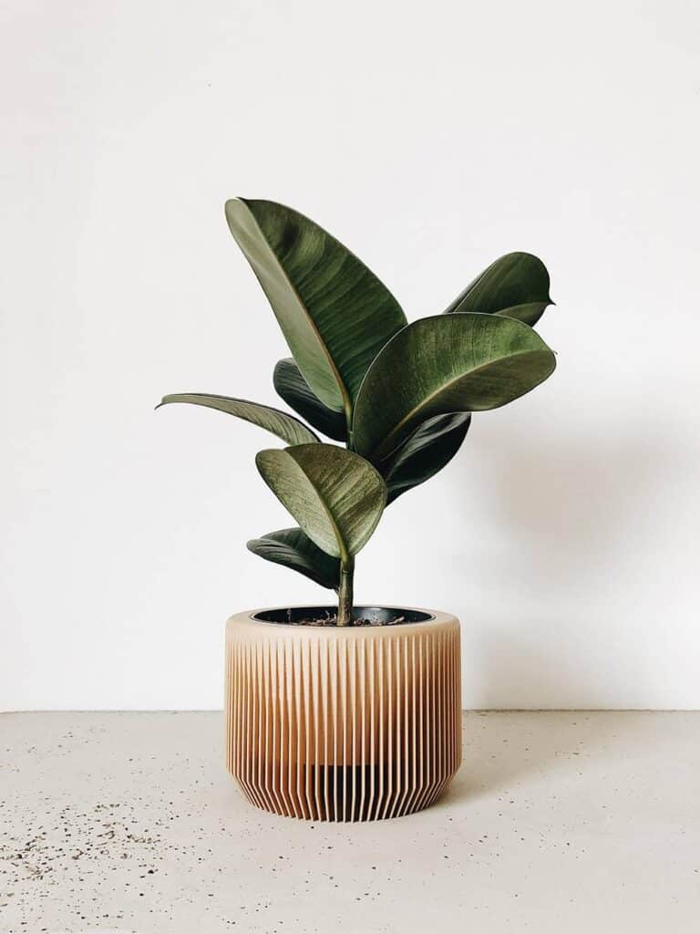 HOW TO APPLY JAPANDI STYLE TO YOUR WEDDING BespokeBride Wedding Blog