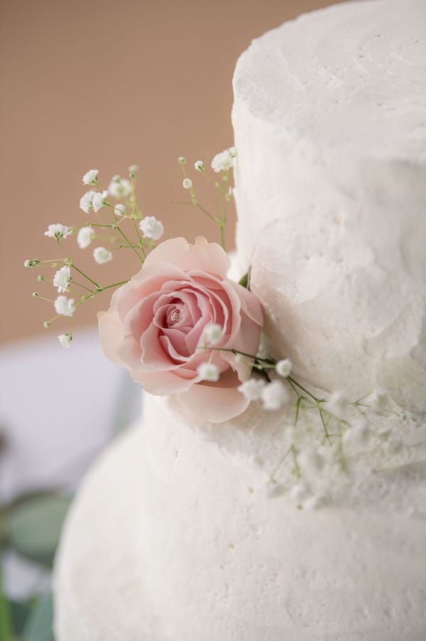 John & Natalie Hecker's Destination Wedding In Venice Florida Destination Wedding photo shoot in Florida