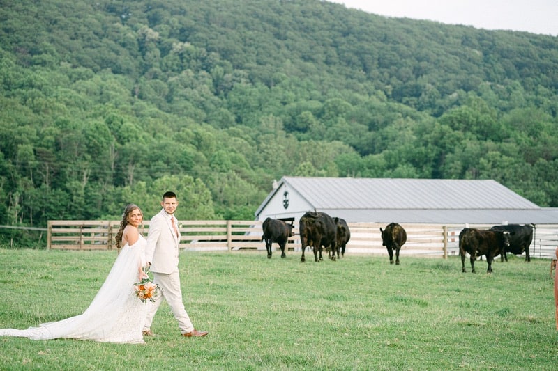 countryside wedding in Catawba Virginia