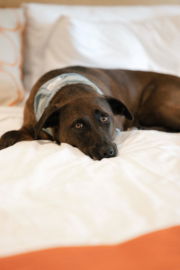 Nautical wedding at Seaport Hotel in boston harbor