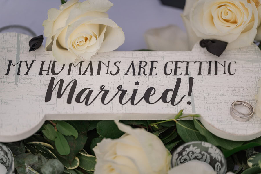 A Beautiful Warm Winter Wedding In The Low Country At Agapae Oaks, Beaufort Sc Winter Wedding photos at Agapae Oaks in Beaufort South carolina