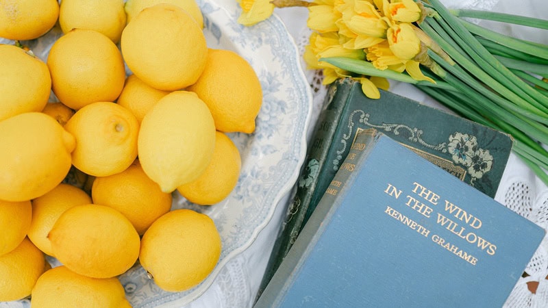 English Garden Vintage Boho Bride photoshoot