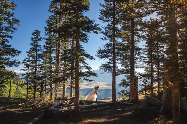 Late Summer Elopement in Telluride CO