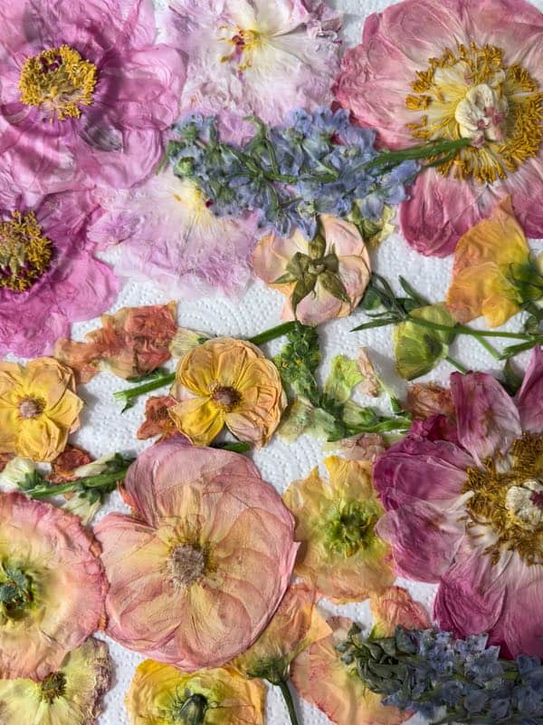 Preserving Wedding Flowers