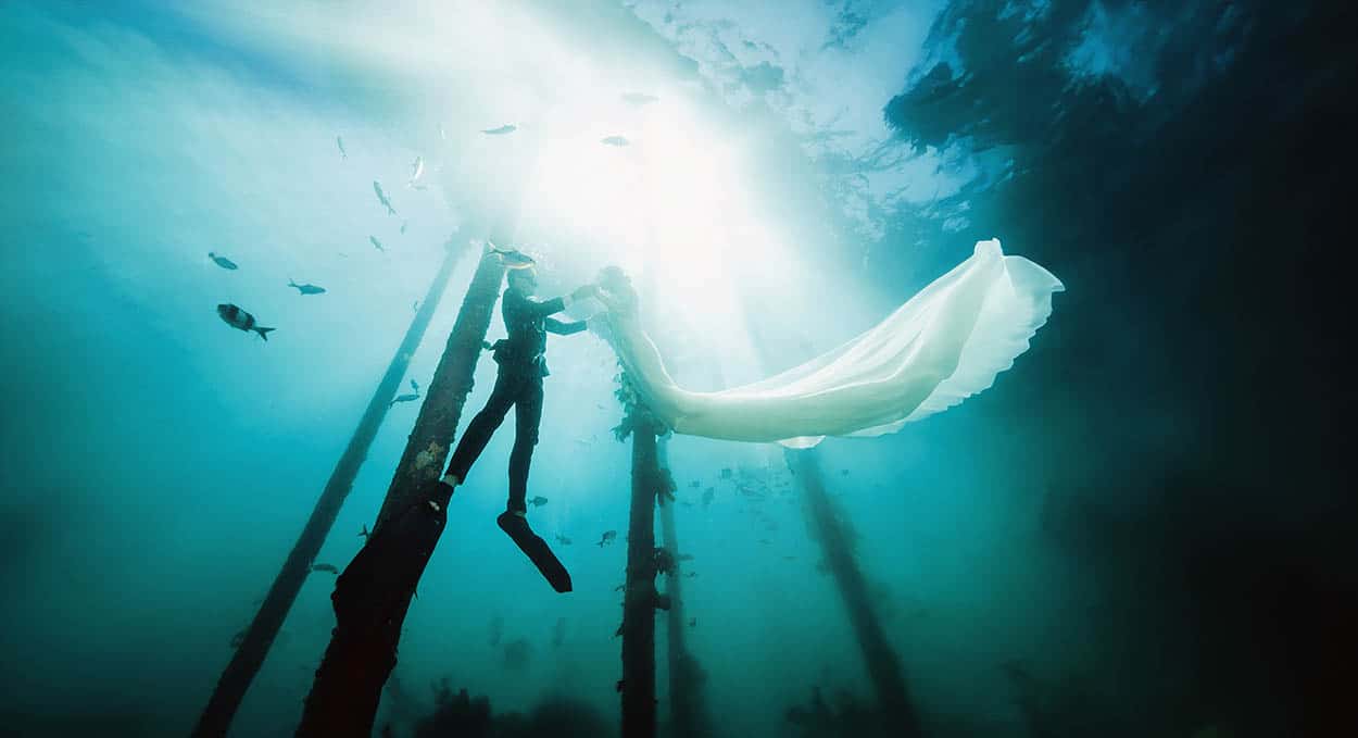 underwater wedding off Pt Noarlunga in australia