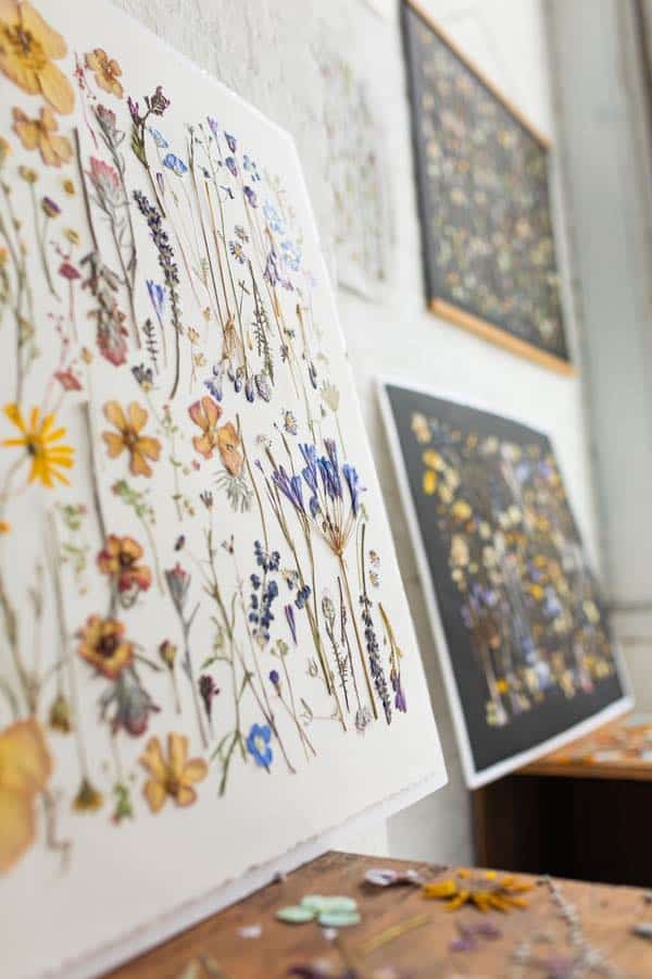 Tricia Paoluccio drawinings