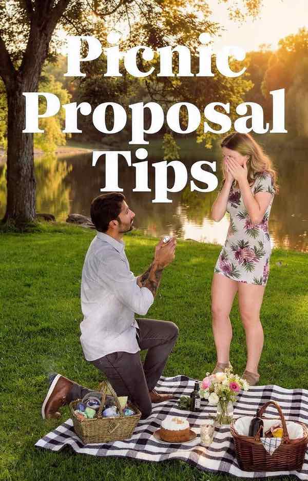 picnic proposal tips picnic proposal tips