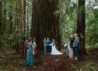 a Redwood National Park wedding