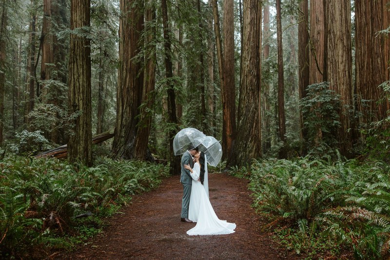 bride and groom at a Redwood National Park wedding